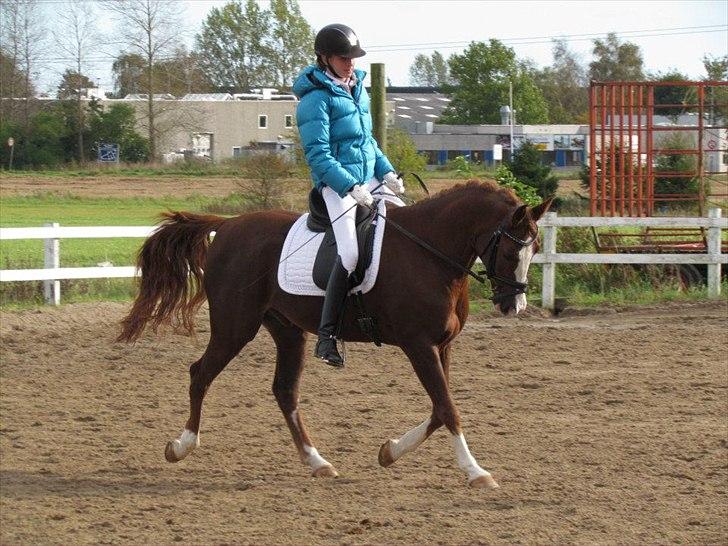 Anden særlig race tango billede 15