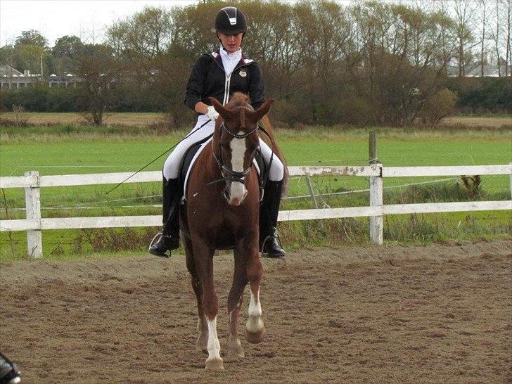 Anden særlig race tango billede 16