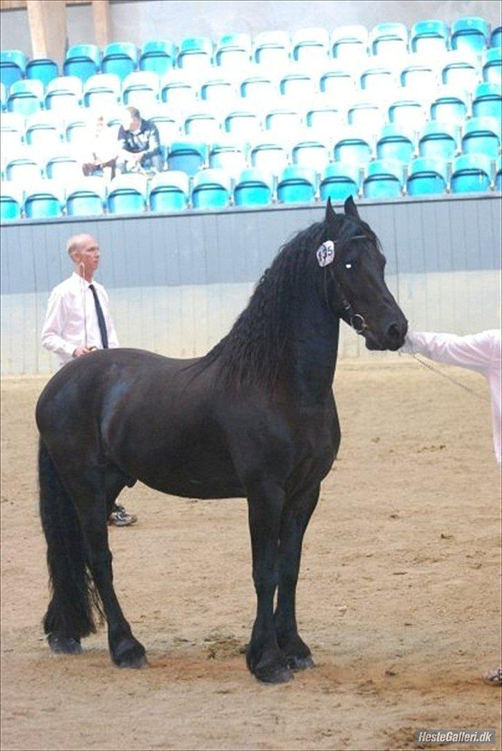 Frieser Simon fan nykro billede 5