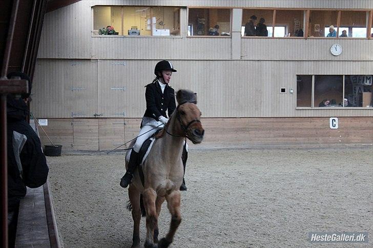 Anden særlig race Titan - LC3 64,167 Delt 7 plads ud af 21 (Man lagde Lc2 og 3 sammen) ;D
Foto; Ellen billede 14