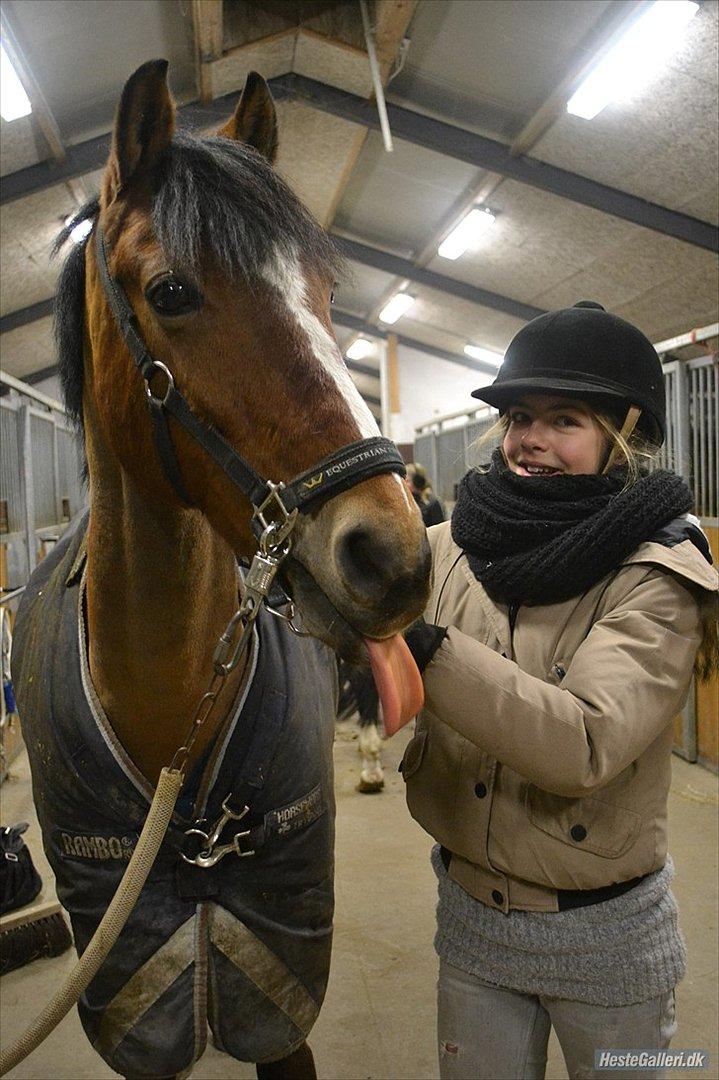 Anden særlig race Ferrari - Seeeej tunge xD HAHA foto: Pernille Hansen billede 10