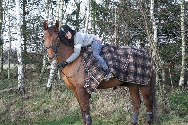 Frederiksborg Santos billede 10