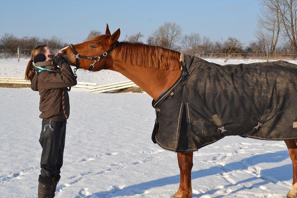 Frederiksborg Chica - GADETØSEN! <3 - Min stjerne ! 
Venskabet er først ægte, når to venner, uden at sige et ord, kan glæde sig ved blot at være sammen <3
Foto: Mor  billede 3