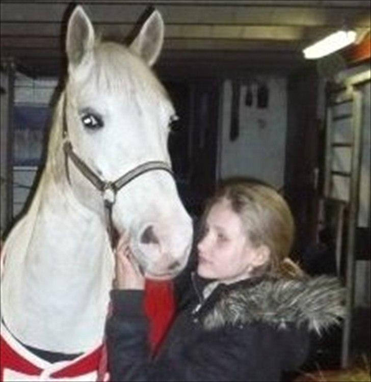 Anden særlig race Flamme Lé Grande ~ billede 7