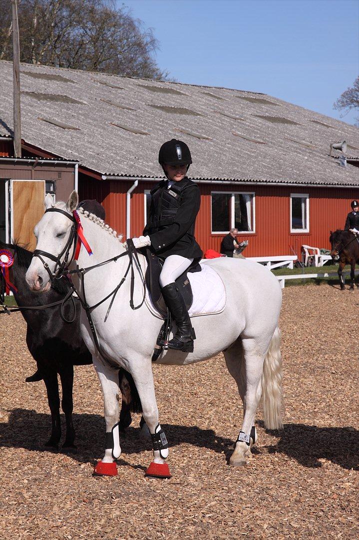 Anden særlig race Flamme Lé Grande ~ - :p  billede 14