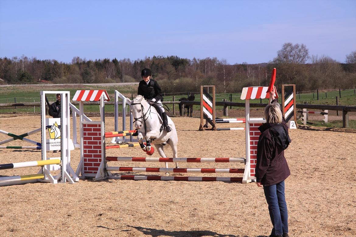 Anden særlig race Flamme Lé Grande ~ - første stævne igen ... billede 2