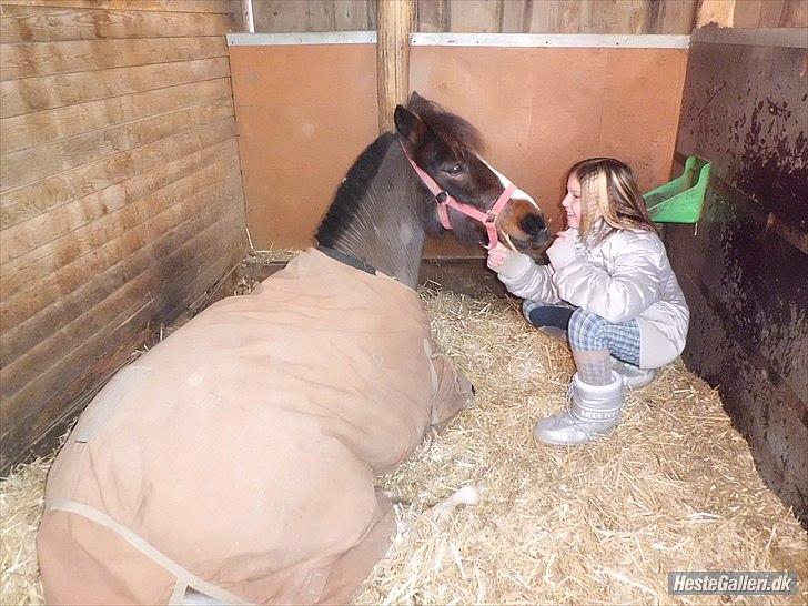 Anden særlig race Mille/ Jeg er desværre stoppet på mijn pige!!:( - Vi hygger os sååå meget!!!:D<3
Fotograf: Amanda Falck billede 4