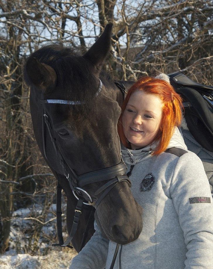 Anden særlig race Papin´s Laceour *R.I.P* billede 4