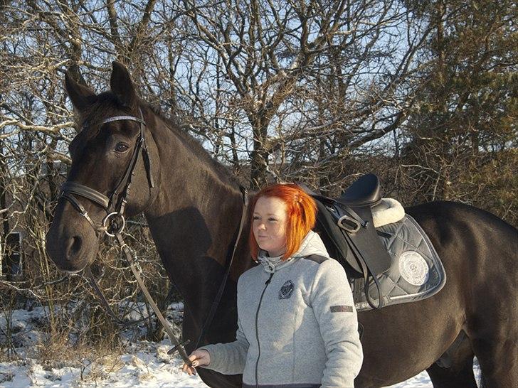 Anden særlig race Papin´s Laceour *R.I.P* billede 6