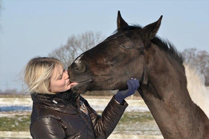 Pinto Pelé (Torriggårdens Pelè) - Min Soulmate <3 - Mig & Min fantastiske dreng, en smuk dag i febuar <3
4/2-2012 billede 8