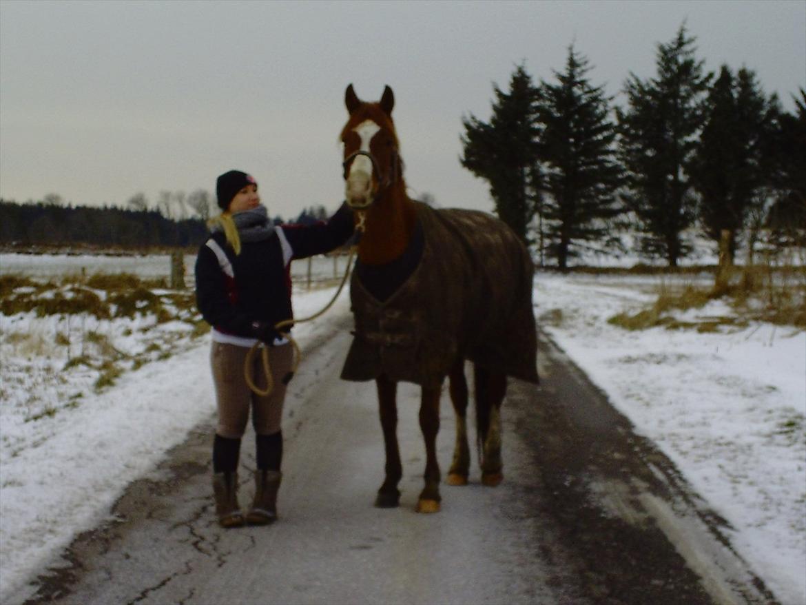 Hollandsk Sportspony Brenco - Hvorfor går vi rundt og tror det er så vigtigt
At lave den million ?
Du ka' få masser af succes, men hvad det værd?
Hvis ik' du deler det med nogen?
En du kan stole på ,
En der siger ro på
En der vil ha dig som du er
Om du fattigrøv eller millionær
Ha dig billede 2