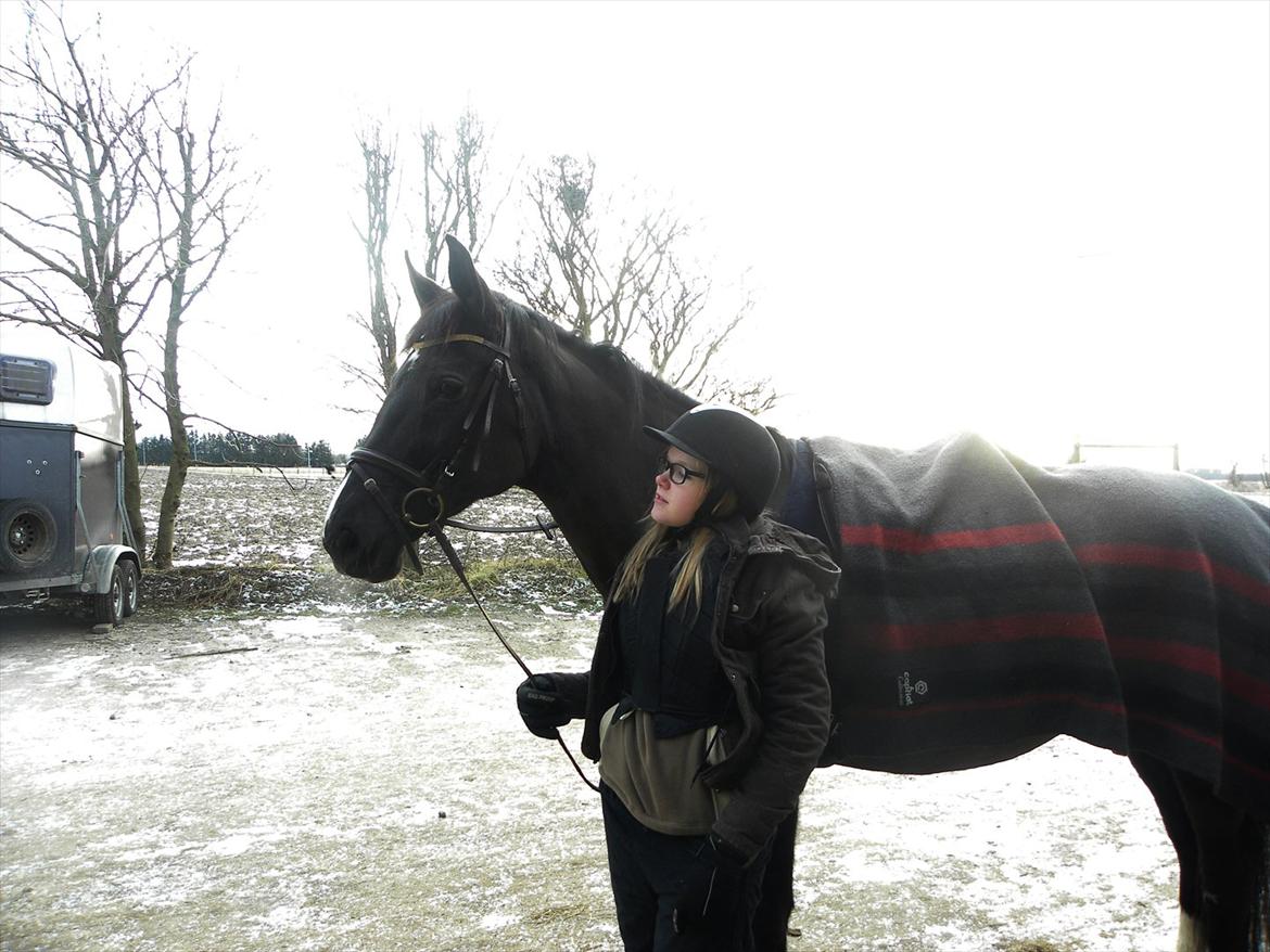 Dansk Varmblod Malux Macohl - Mig og malle :-) billede 6