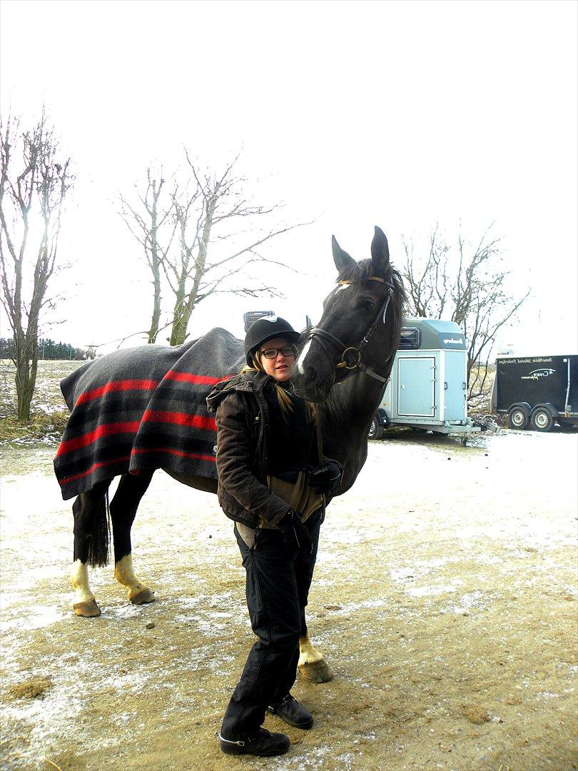 Dansk Varmblod Malux Macohl - Mig og malle igen :-) billede 7