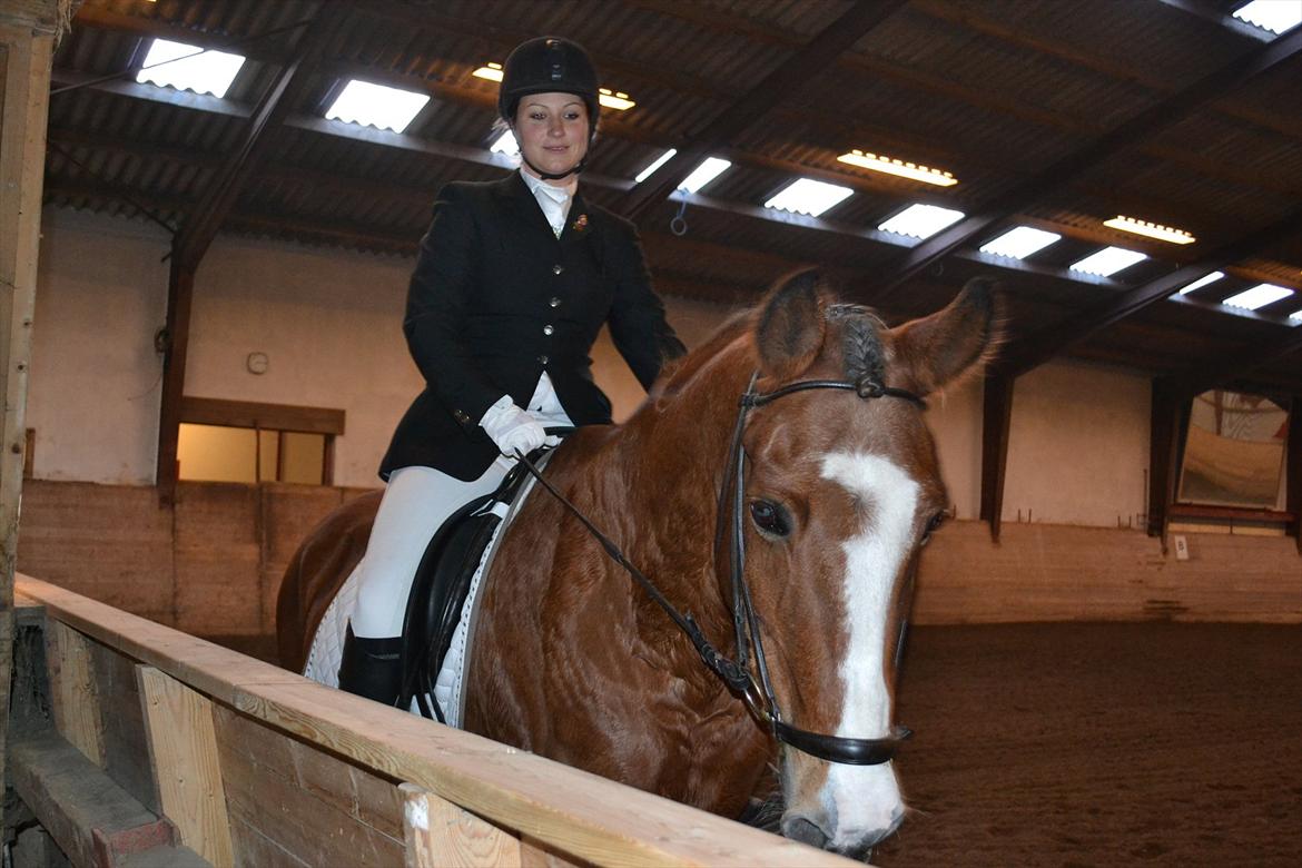 Anden særlig race Jack Dee - Stævne D. 23/10-2011 billede 10