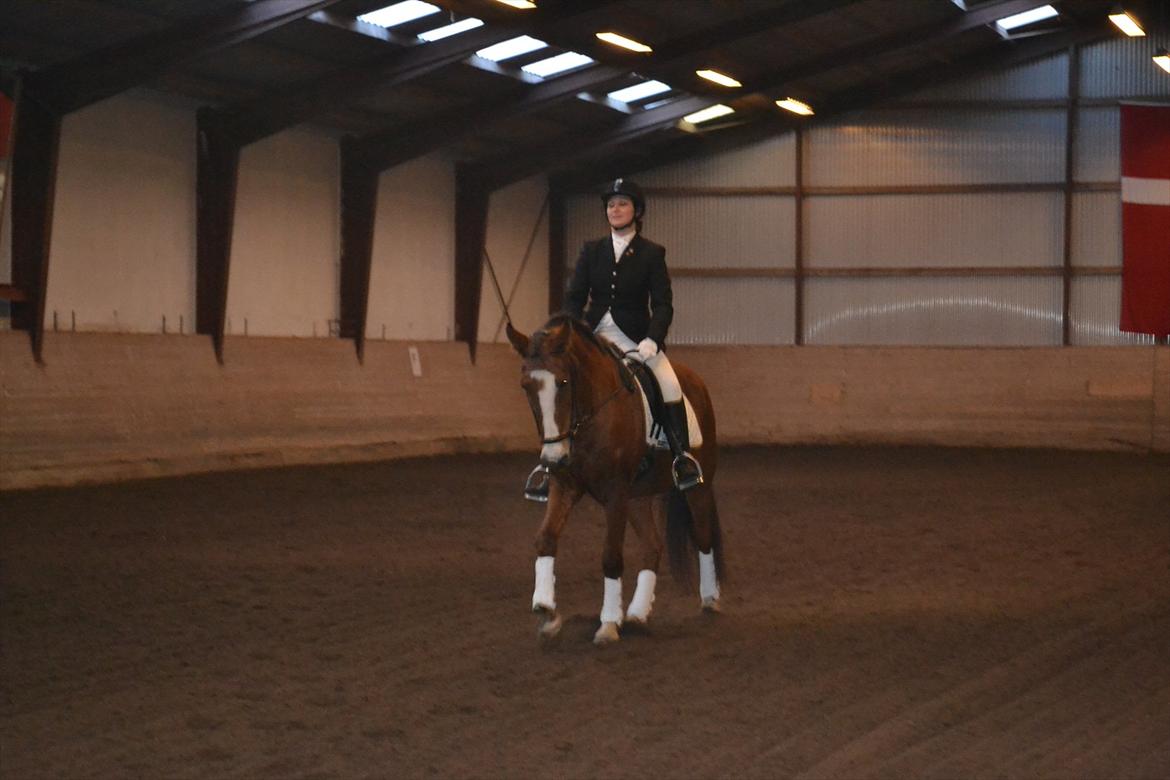 Anden særlig race Jack Dee - D.23/10-2011 billede 11