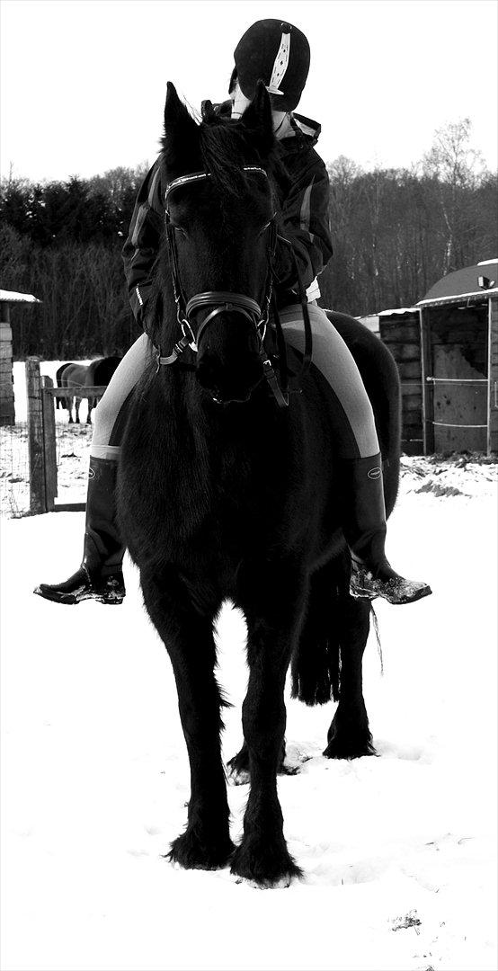 Frieser Altruida K. - 20. Februar 2012. 
.. Med dig kan jeg alt!  billede 14