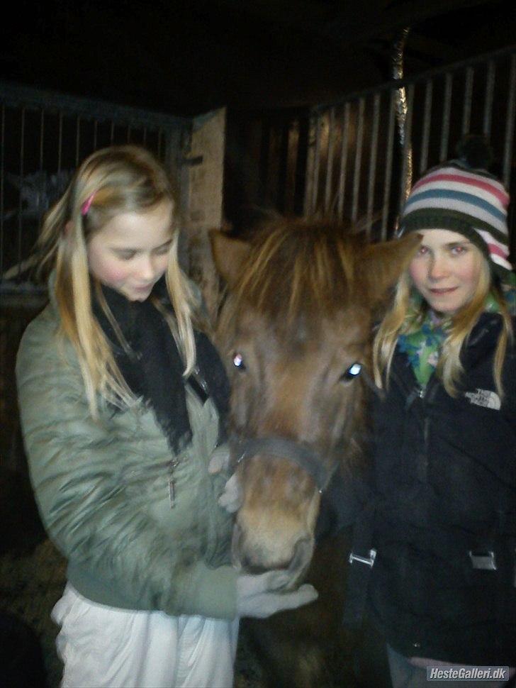 Anden særlig race Lotte - Lotte, mig og Marika :) billede 18