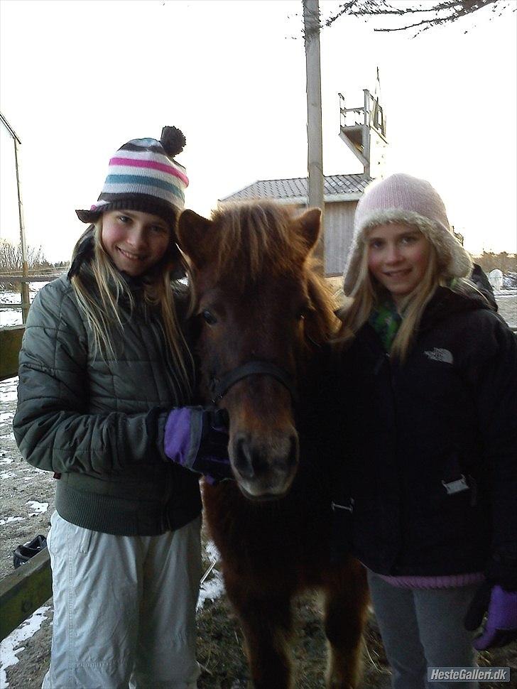 Anden særlig race Lotte - Lotte, mig og Marika billede 19