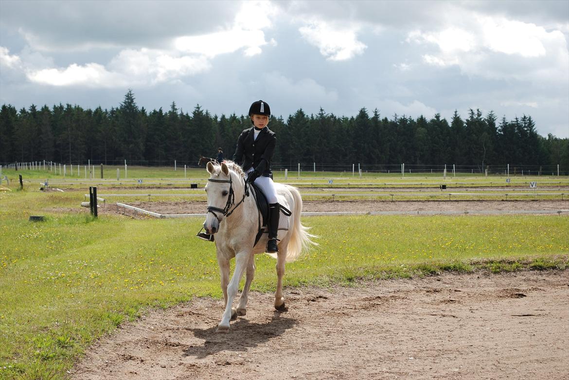 Anden særlig race MisseKatten Lucas<3 - Opvarmning til stævne GRRK
-JGK billede 12