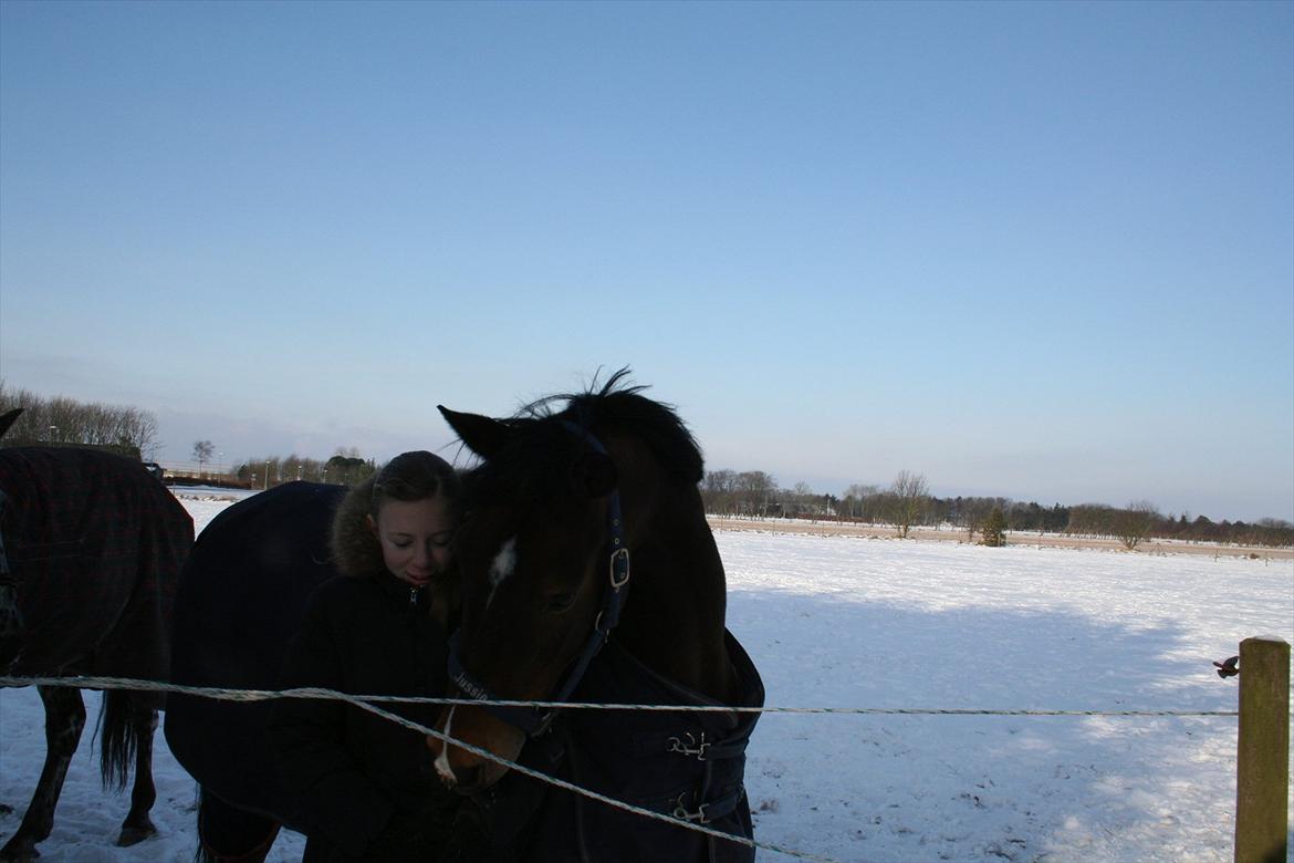 Anden særlig race Jussie - Jeg elsker dig jusser!<3 billede 12