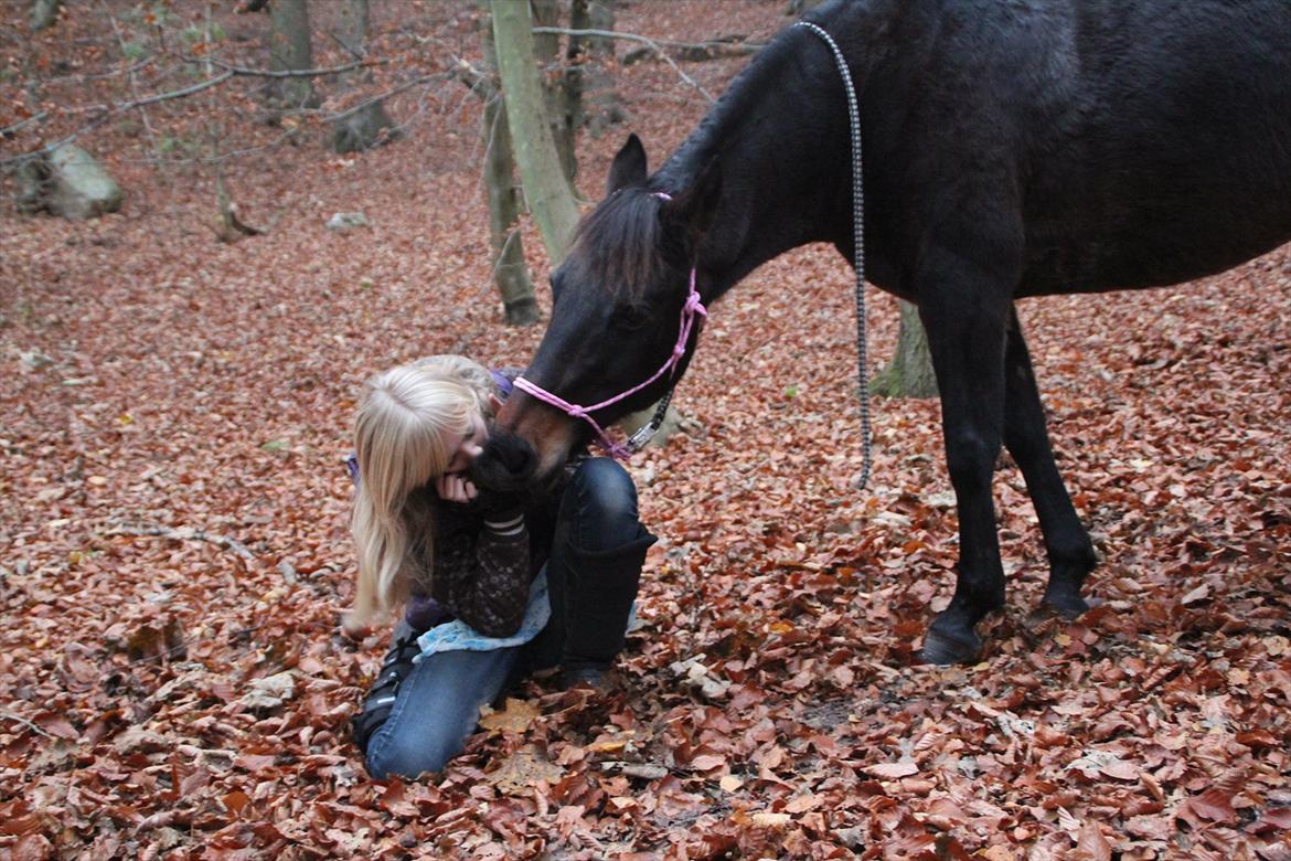 Tysk Sportspony Bonnie  - Møsse møsse :D Søde mus! *Foto Jose* billede 20