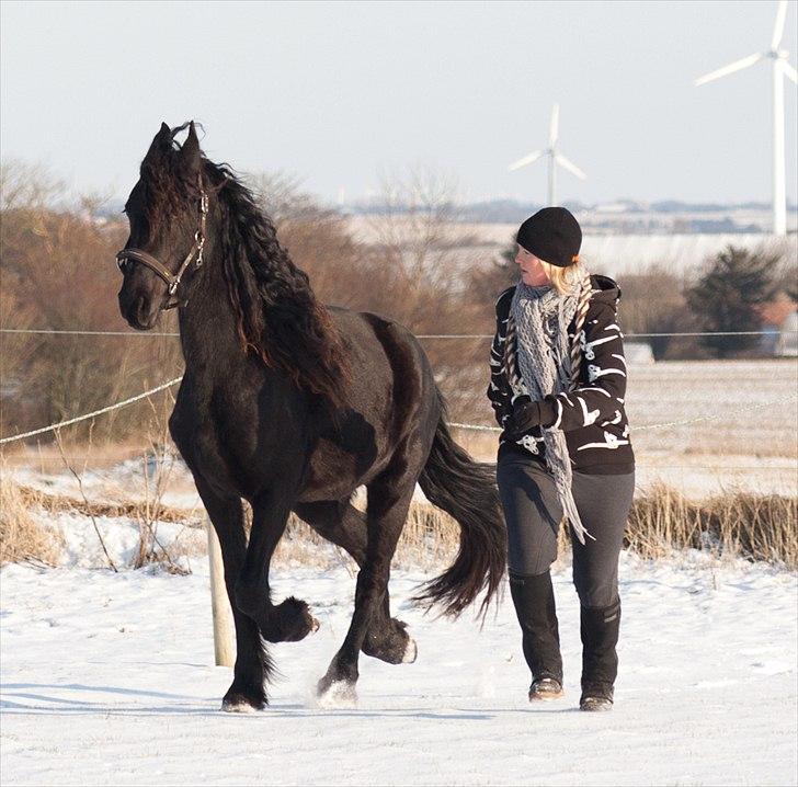 Frieser Eeke Van De Stoerstrang - Vi løber om kap...!!! Hun følger mig overalt...!!!  billede 15