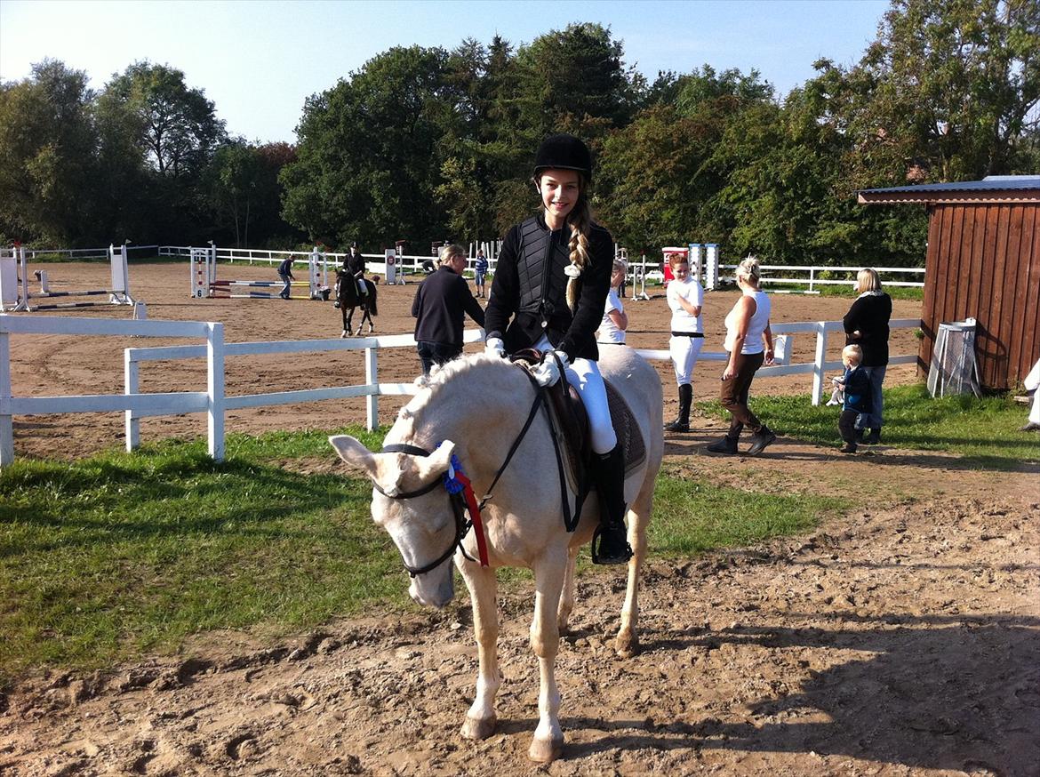 Anden særlig race Karla| Elevpony - Et fint billede efter vores LD :-) billede 12