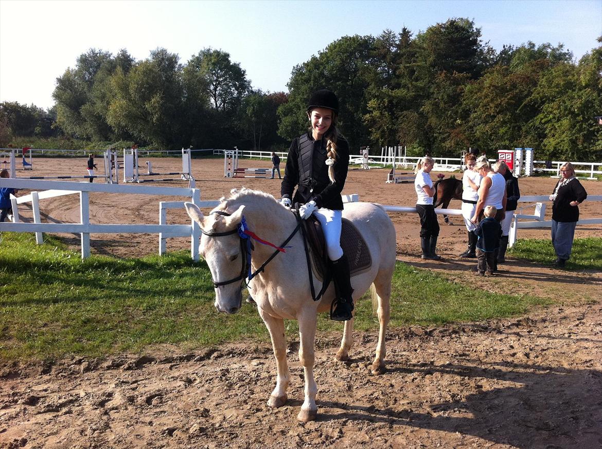 Anden særlig race Karla| Elevpony - Et superdejligt billede efter vores LD! billede 2