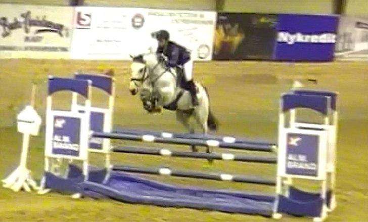 Irsk Sportspony Maam Boy<3 billede 13