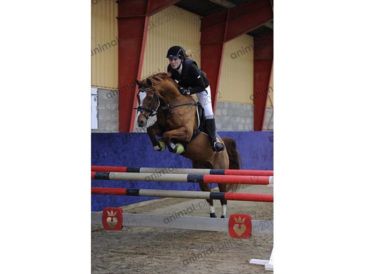 {{currentPhoto.altText}} billede {{currentPhoto.number}}