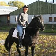 Anden særlig race Lucy