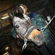 Anden særlig race sif