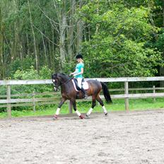 DSP Fontain af Stensnæs