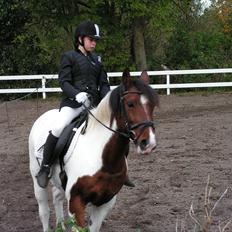 Anden særlig race Twister