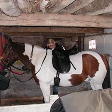 Anden særlig race Twister