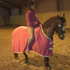 New Forest Siggegårdens Madonna solgt 