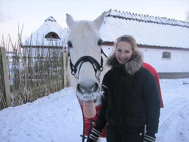 Connemara Flash Point Hedelund ~Polle~ RIP - Nr. 8
polle i sneen! grimme pony <3 billede 8