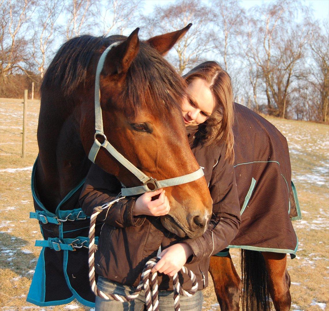 Anden særlig race Louzarina<3 (Baby-hesten) - Kunne ik leve uden dig! <3

4-2-2012 billede 8