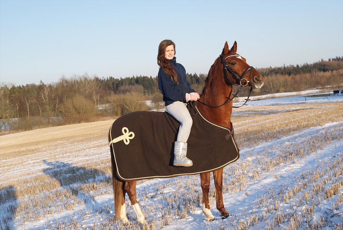 Hollandsk Sportspony Xana Maxima  - Min prinsesse og jeg d. 4/2-2012. <3 billede 6
