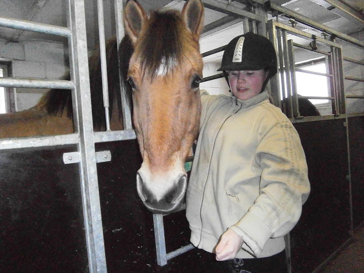 Anden særlig race Lukas billede 7