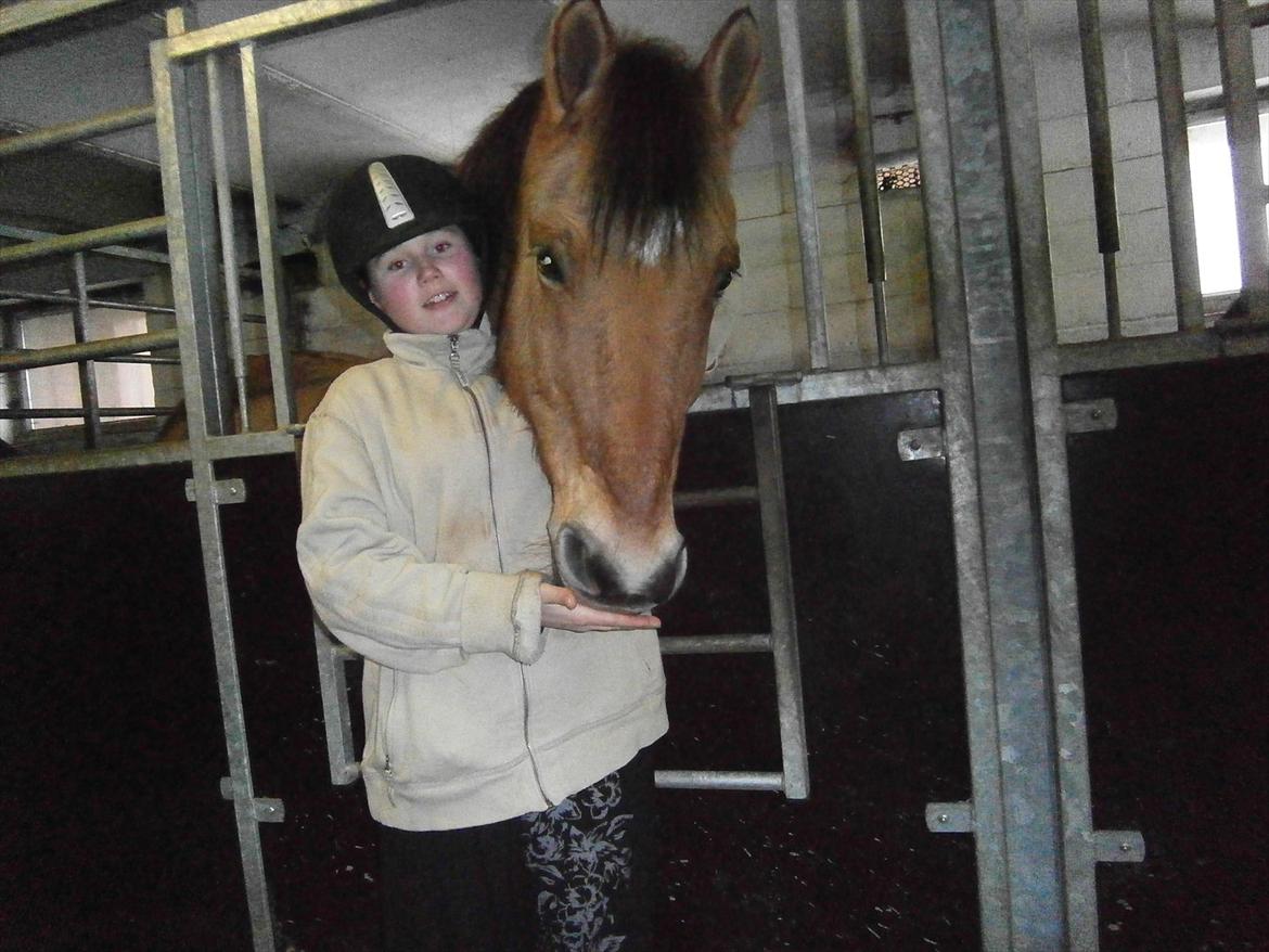 Anden særlig race Lukas billede 8