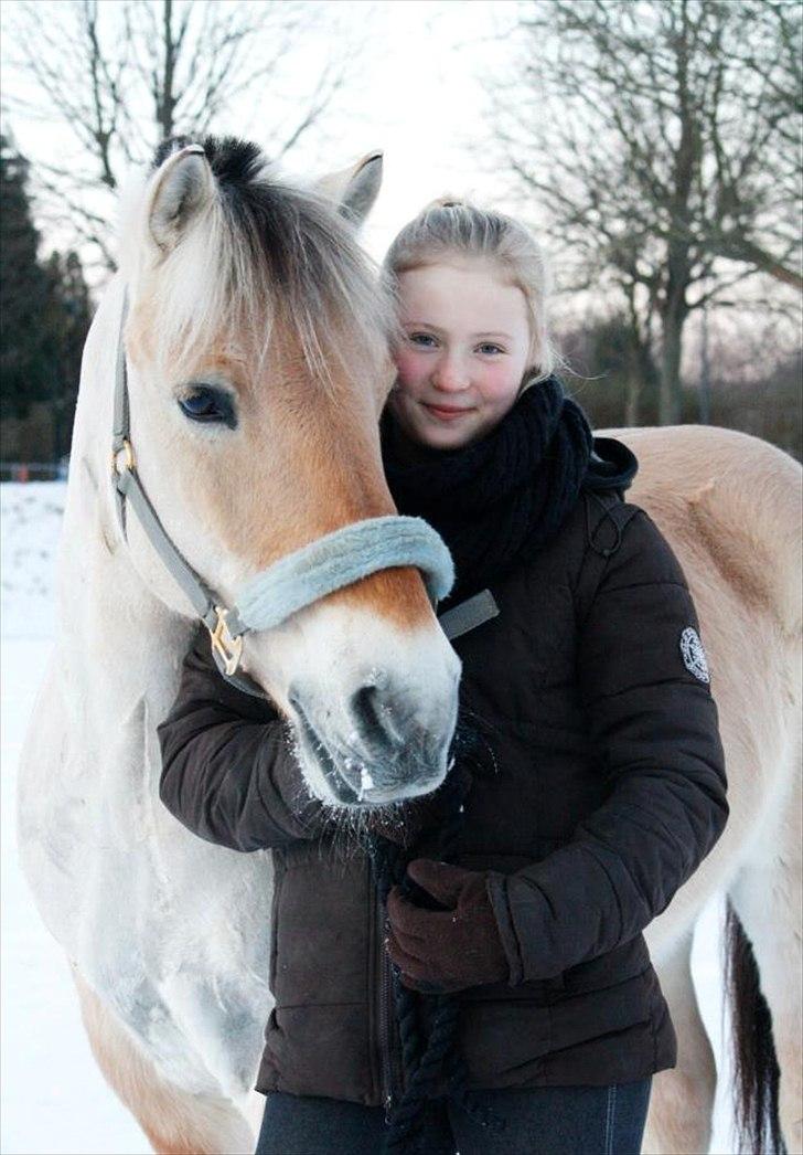 Fjordhest Holger| Den Bedste! | - Vinter 2012

Politiet er på jagt efter en smuk, vidunderlig, dejlig, fantastisk og lækker pony. 
Men bare rolig, jeg sagde ikke hvor du var<3

 billede 7