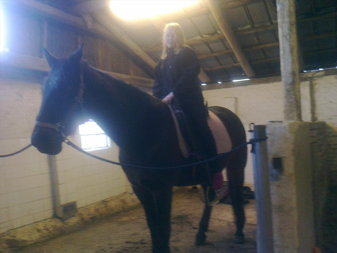 Traver Harley r.i.p min skat billede 8