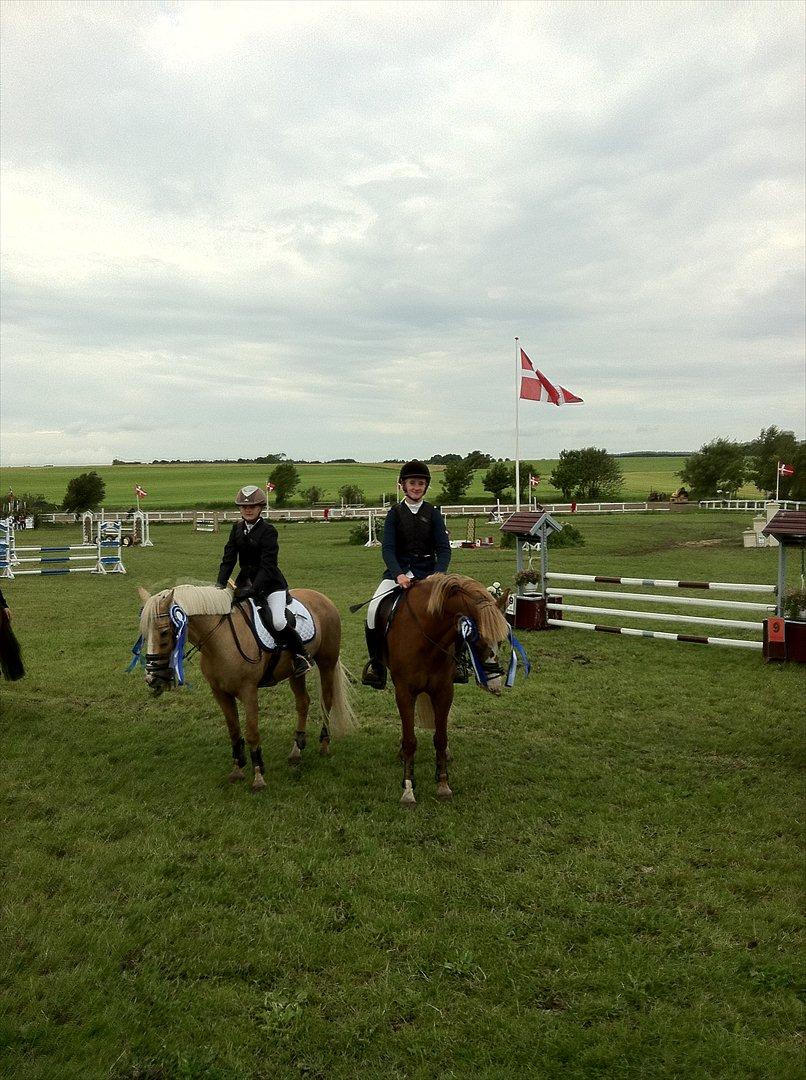 Hollandsk Sportspony Jan <3 SOLGT - Nummer 2 holdmesterskaberne 2011 i distrikt 12 billede 20