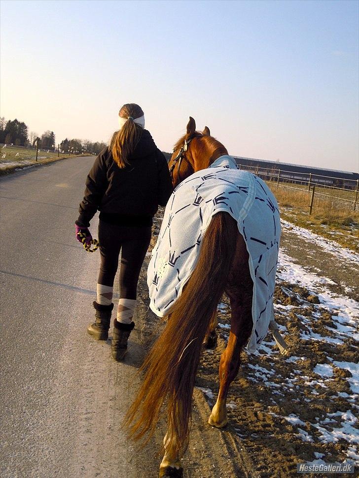 Anden særlig race joy<3  "vsr" - hej hej tak for du gad og kigge med :P

foto: LDH<3 billede 19