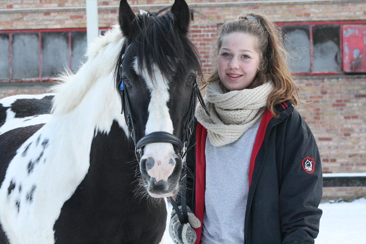 Irish Cob Mars <3 | Mit liv. <3 |  - Mars & jeg på en meget kold dag! :D billede 4