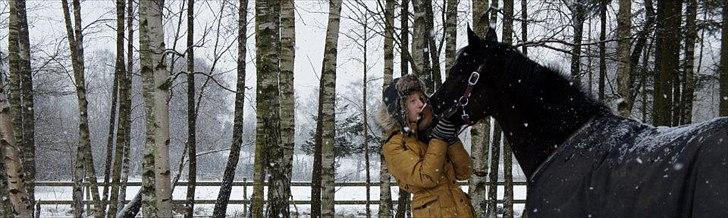 DSP Fontain af Stensnæs - Ude i sneen og lege ;D han er altid så frisk så han suser rundt med høje ben løft :D !! <33
elsker dig fony pony!<3 billede 4