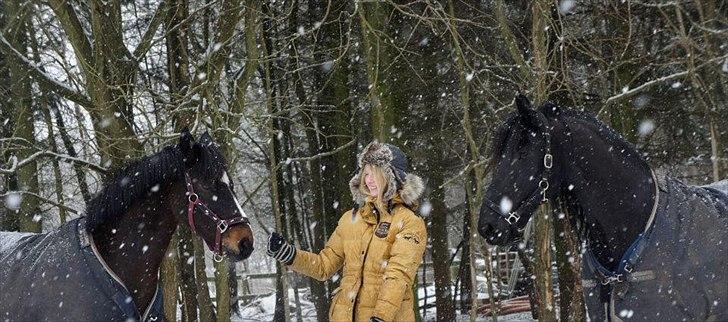 DSP Fontain af Stensnæs - Også ude i sneen ;D min mors hest bagved ^^ billede 6