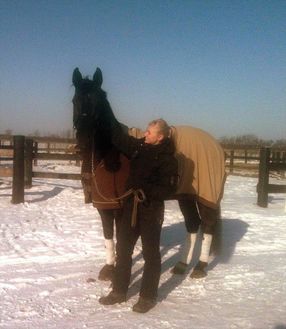 Dansk Varmblod Leasy - Vinter 2012 :) billede 18