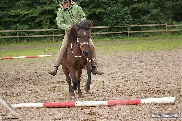 Islænder vigdis fra tågelundgård!:-* - Du er smilet på mine løber! JEG ELSKER DIG SÅ MEGET!! :-*<3<3 Foto: LMC billede 7